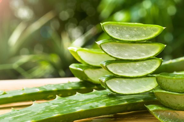ব্রণ দূর করতে অ্যালোভেরা ব্যবহারের সহজ উপায়