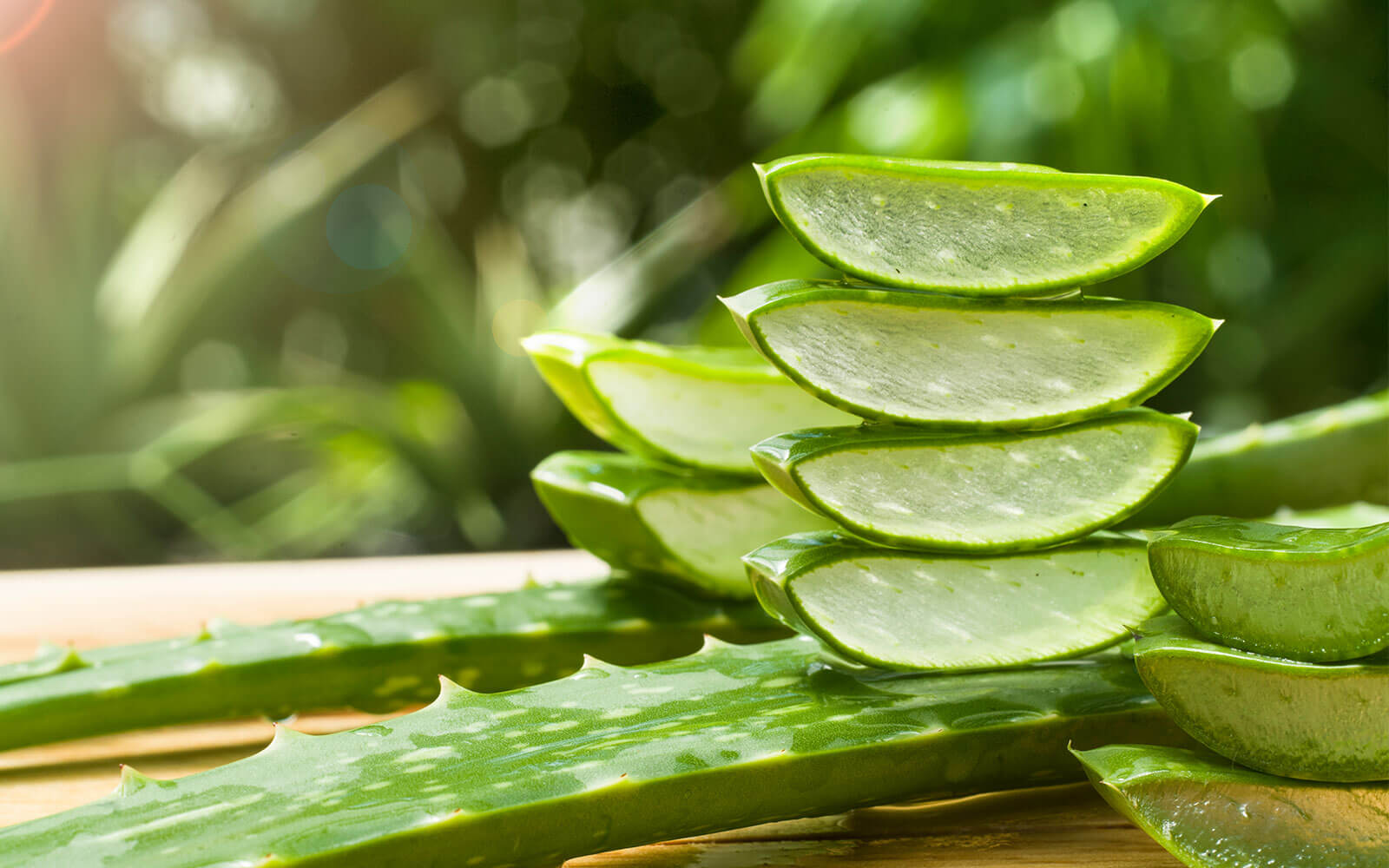 ব্রণ দূর করতে অ্যালোভেরা ব্যবহারের সহজ উপায়