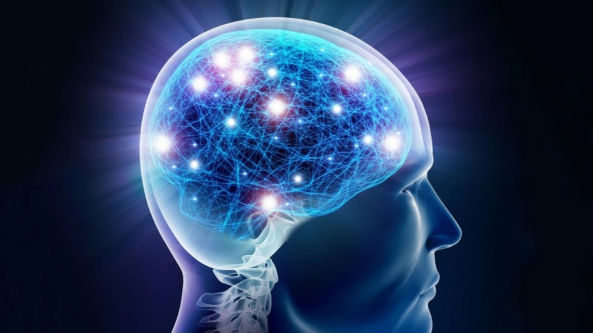 জন্ম থেকে বার্ধক্য : যে ৫ ধাপে ঘটে মানব-মস্তিষ্কের পরিবর্তন