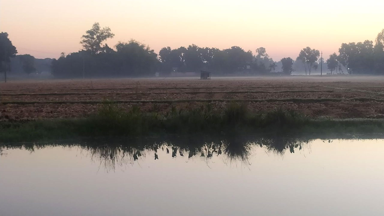 দেশের সর্বনিম্ন তাপমাত্রা পঞ্চগড়ে, তেঁতুলিয়ায় আগেভাগেই নেমেছে শীতের দাপট