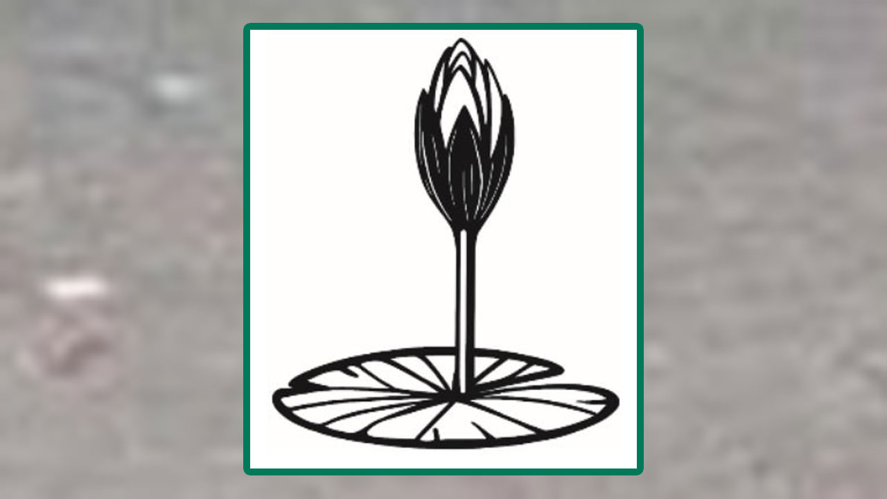 ওয়েবসাইটে এনসিপির শাপলা কলির স্কেচ যুক্ত করলো ইসি