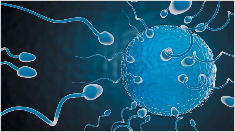 প্রতিদিনের এই ৫ অভ্যাস পুরুষদের শুক্রাণুর সংখ্যা কমিয়ে দেয়