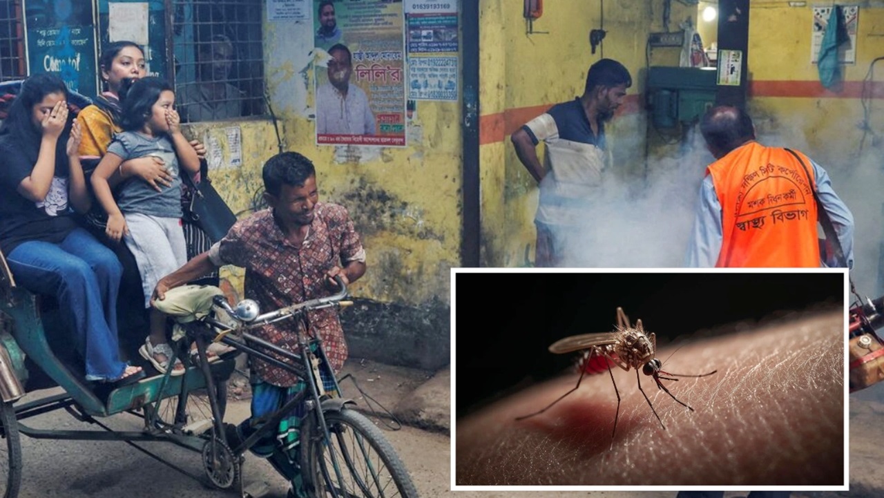 ডেঙ্গুতে দুজনের মৃত্যু, হাসপাতালে ভর্তি ৫৬৫