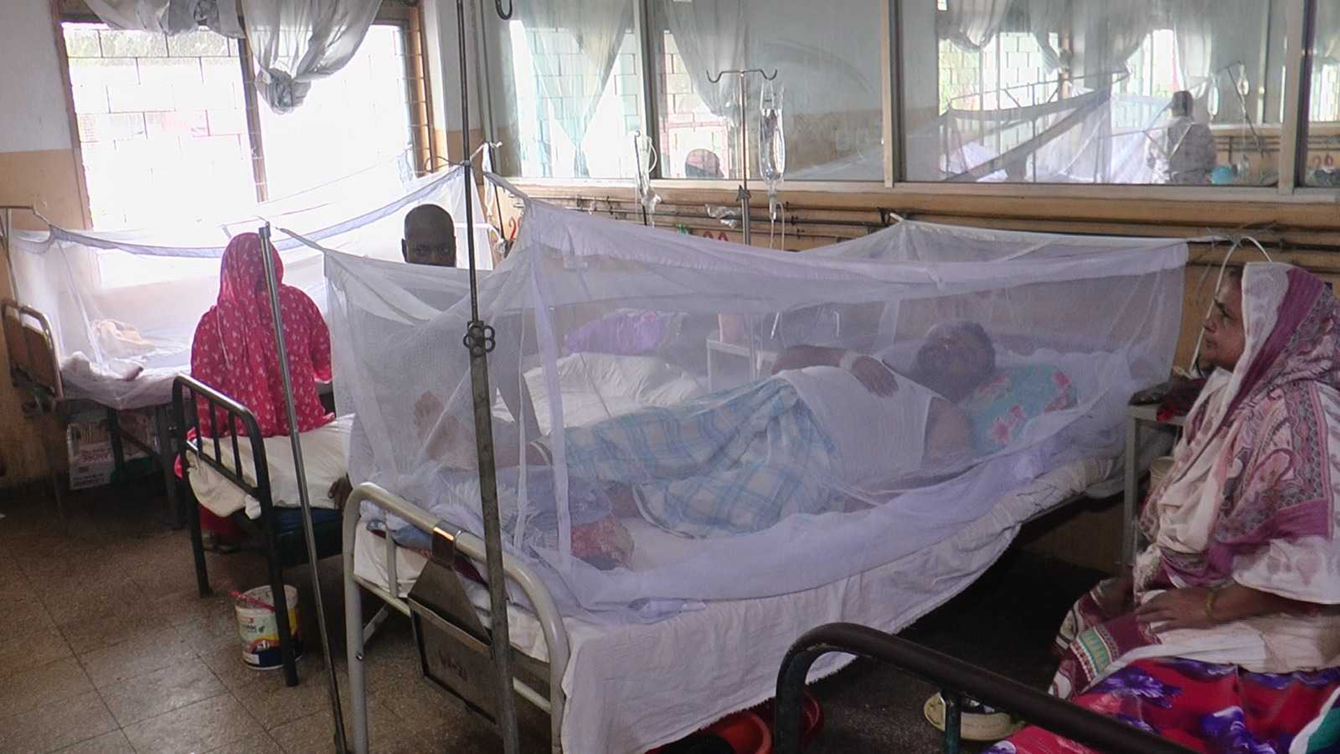 ২৪ ঘণ্টায় ডেঙ্গুতে আরও দুজনের মৃত্যু, হাসপাতালে ৬১০