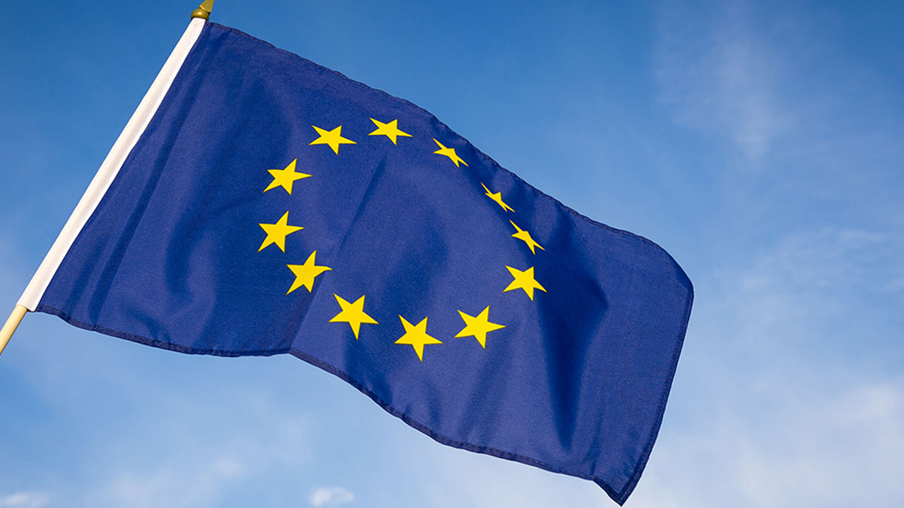 বাংলাদেশে সংসদ নির্বাচনে পর্যবেক্ষণ মিশন নিয়োজিত করেছে ইইউ