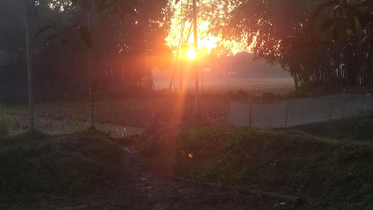 ঝলমলে রোদেও পঞ্চগড়ে তীব্র শীত, রাতের তাপমাত্রা ৯ ডিগ্রিতে