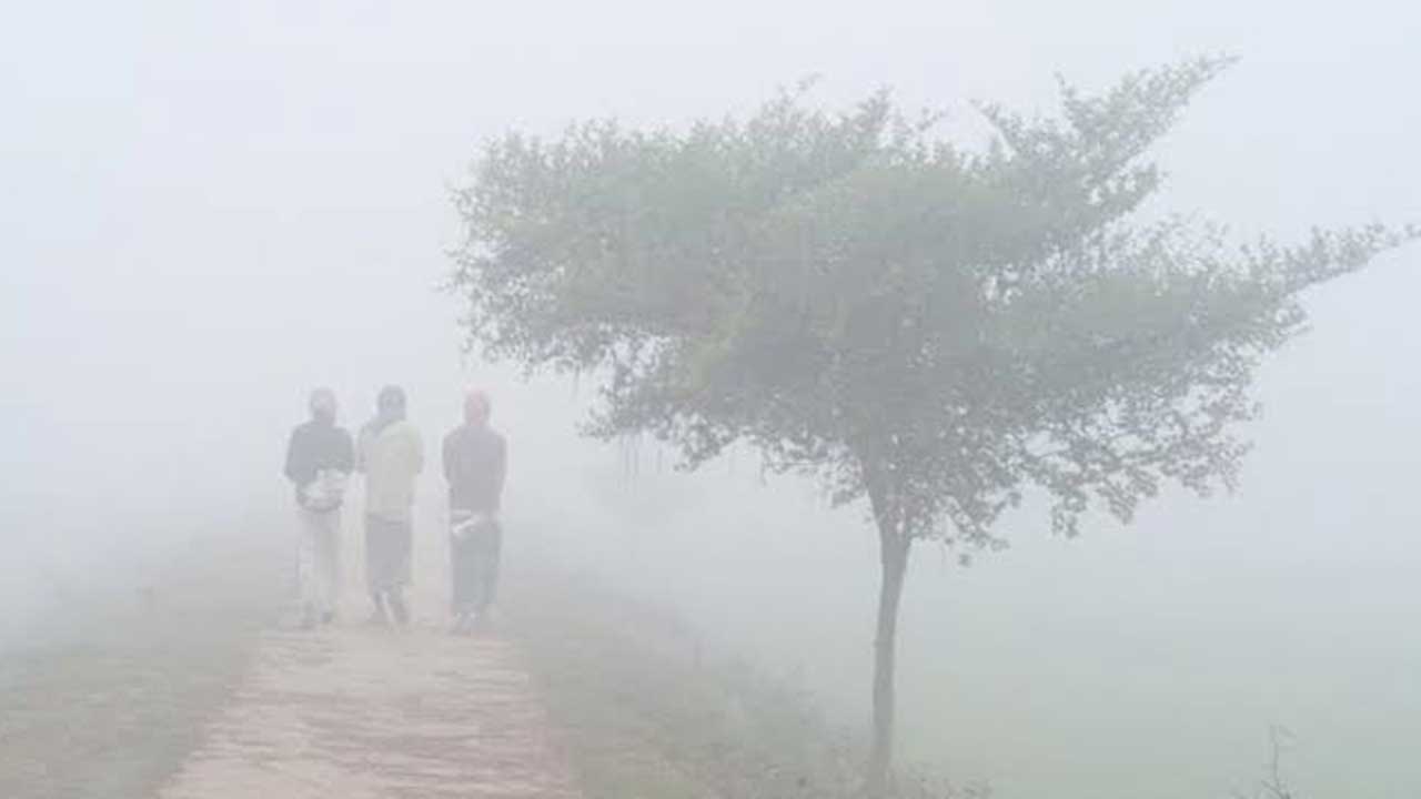 ৯ জেলায় শৈত্যপ্রবাহ অব্যাহত থাকার আভাস