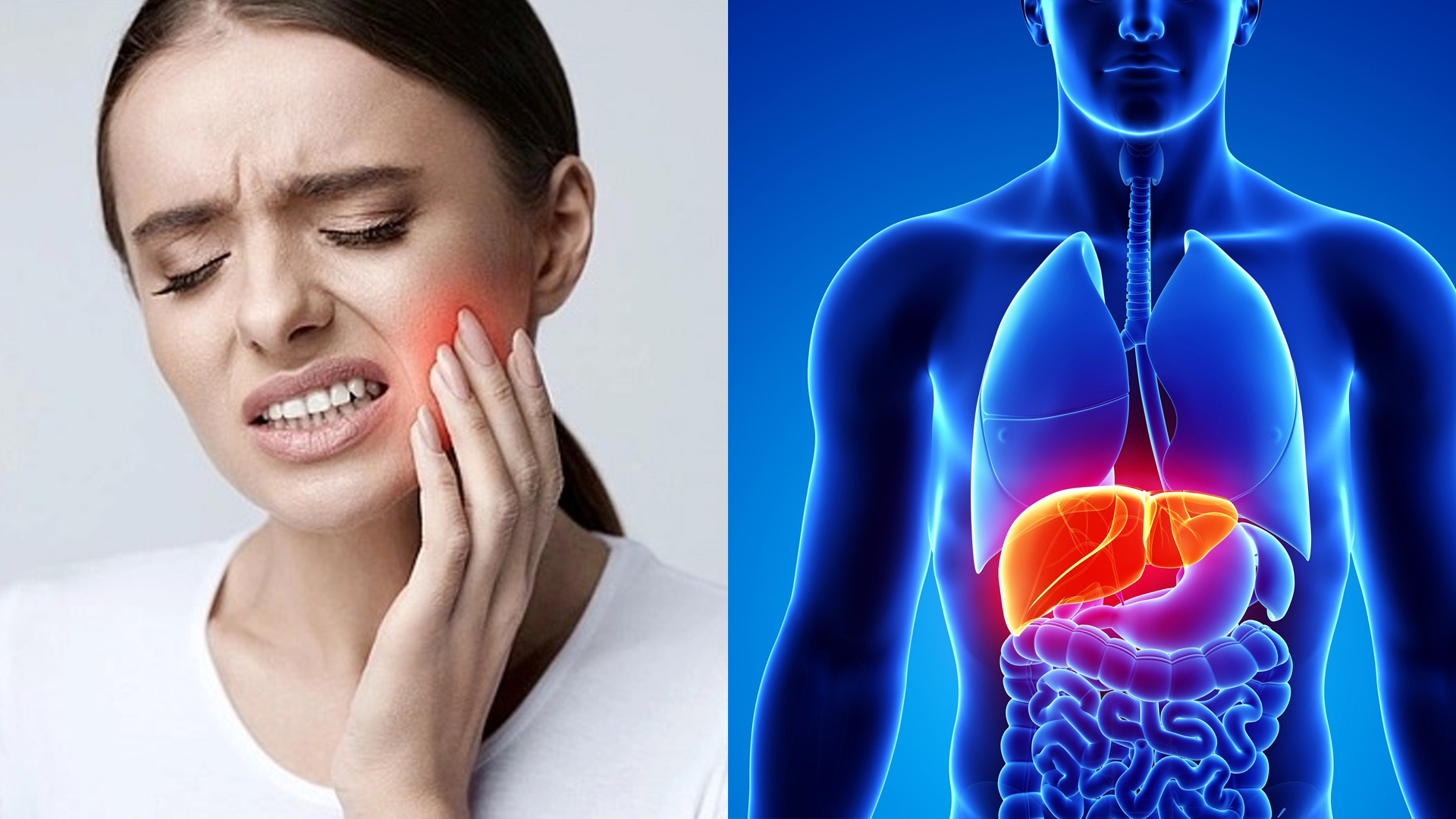 দাঁত ও মাড়ির সমস্যায় বাড়ছে লিভার রোগের আশঙ্কা