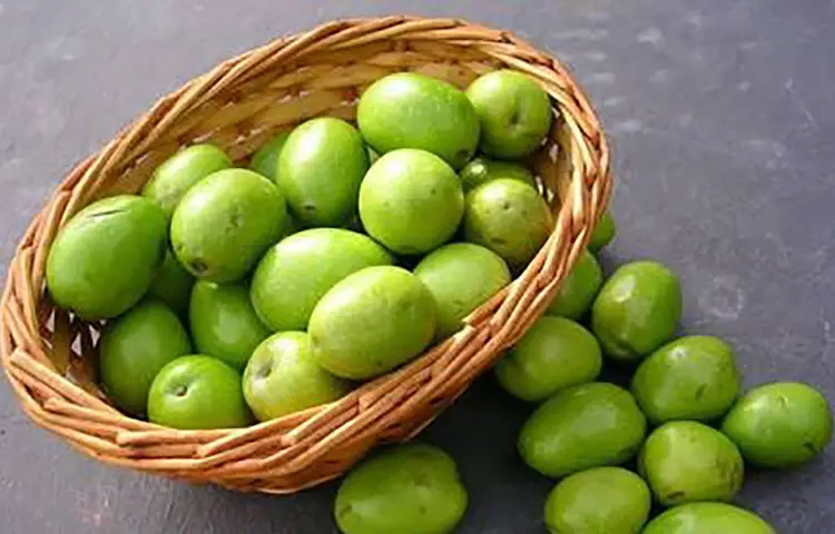 হার্ট ভালো রাখাসহ যেসব রোগের ঝুঁকি কমাবে জলপাই