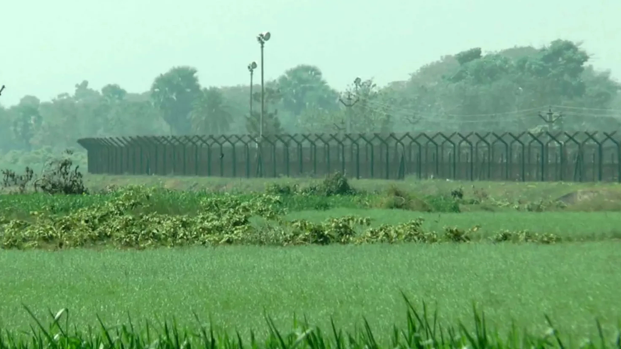 মেহেরপুর সীমান্ত দিয়ে এক বছরে ৩৭২ জনকে পুশইন