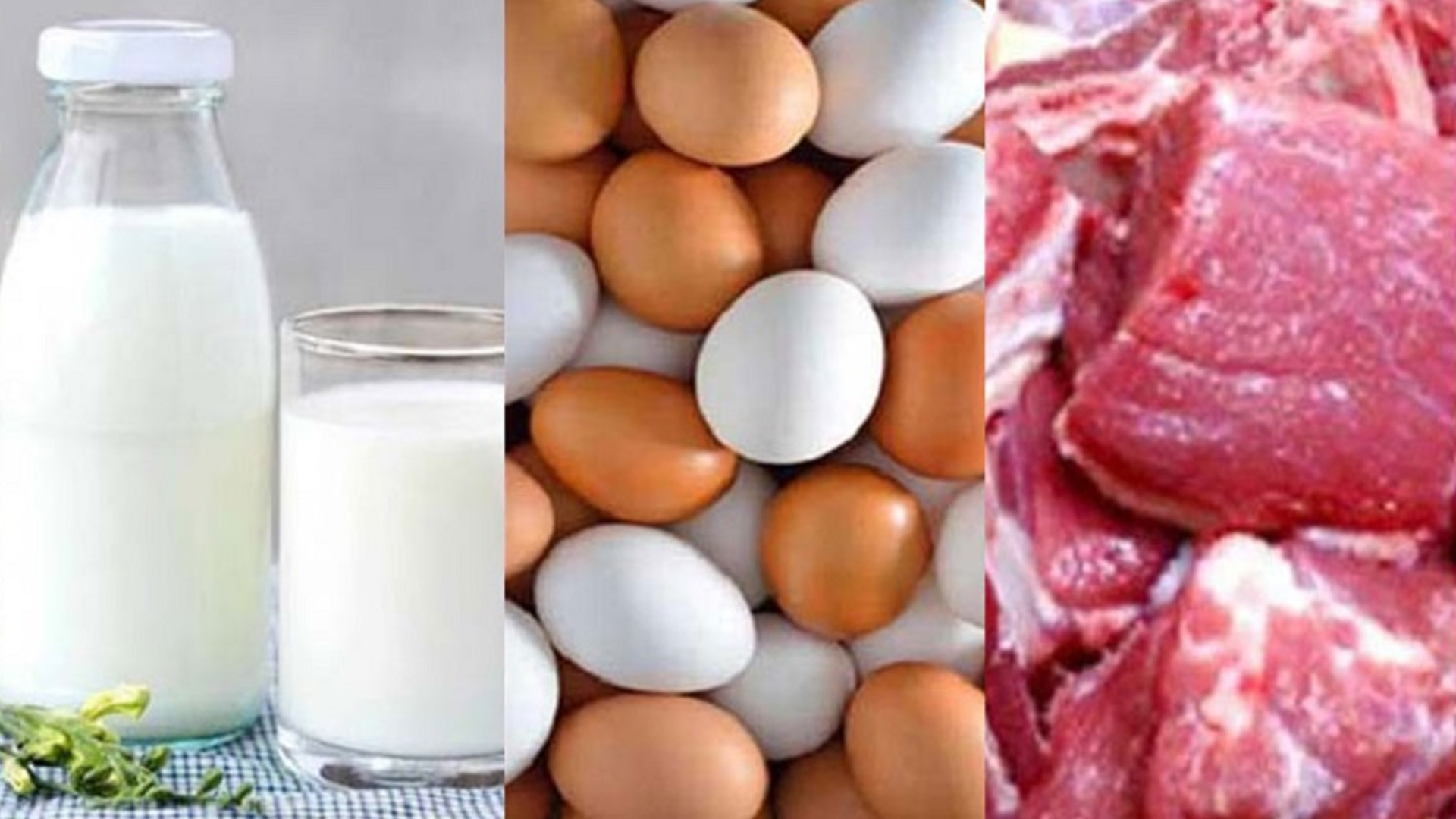 রোজায় সাশ্রয়ী দামে মাংস, দুধ ও ডিম মিলবে যেসব স্থানে