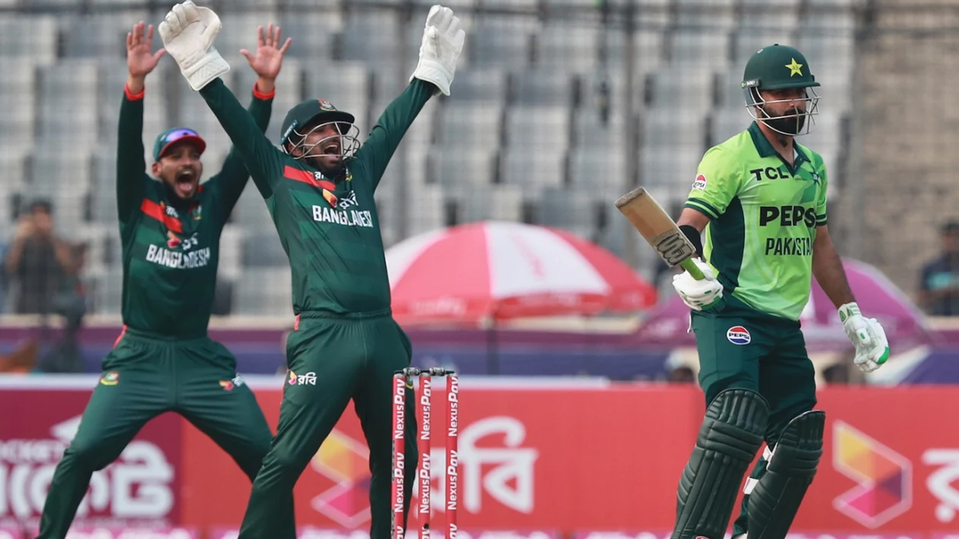 ‘আউট অব সিলেবাস’ প্রশ্নে পাকিস্তান ধরা খেয়েছে: আমির