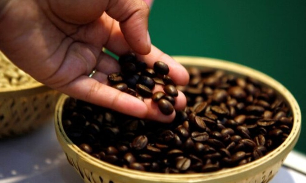 ত্বকের যত্নে কফি