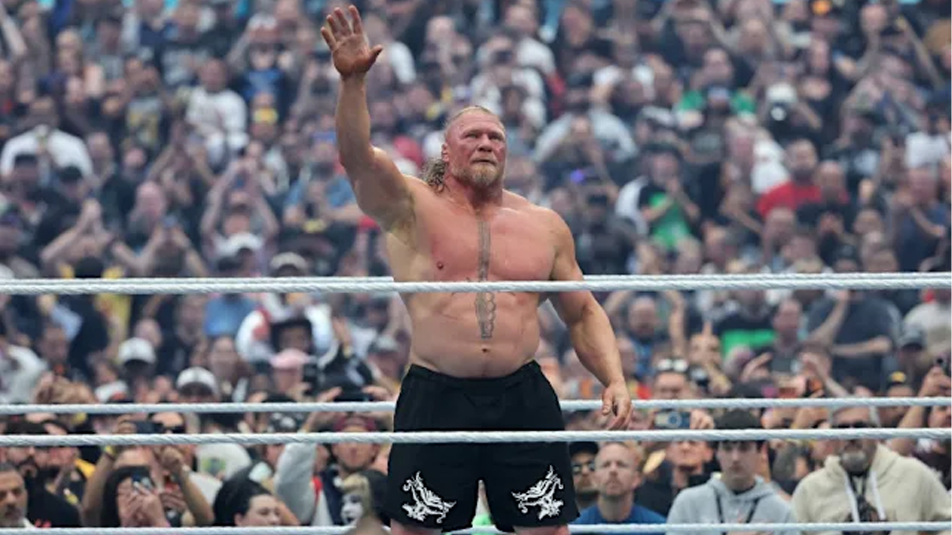 রেসলিং থেকে অবসর নিলেন লেসনার!