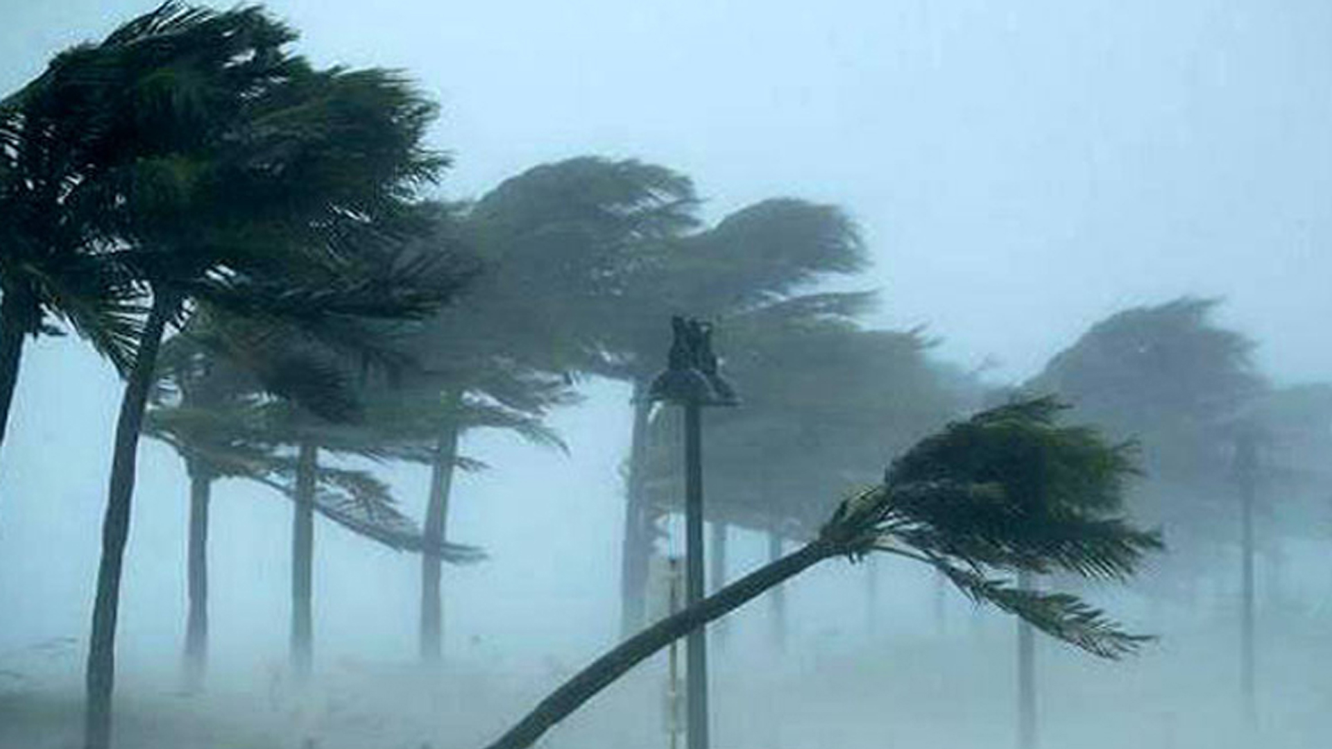 রাতে যেসব জেলায় ৬০ কিমি বেগে ঝড় ও বজ্রসহ বৃষ্টির আশঙ্কা