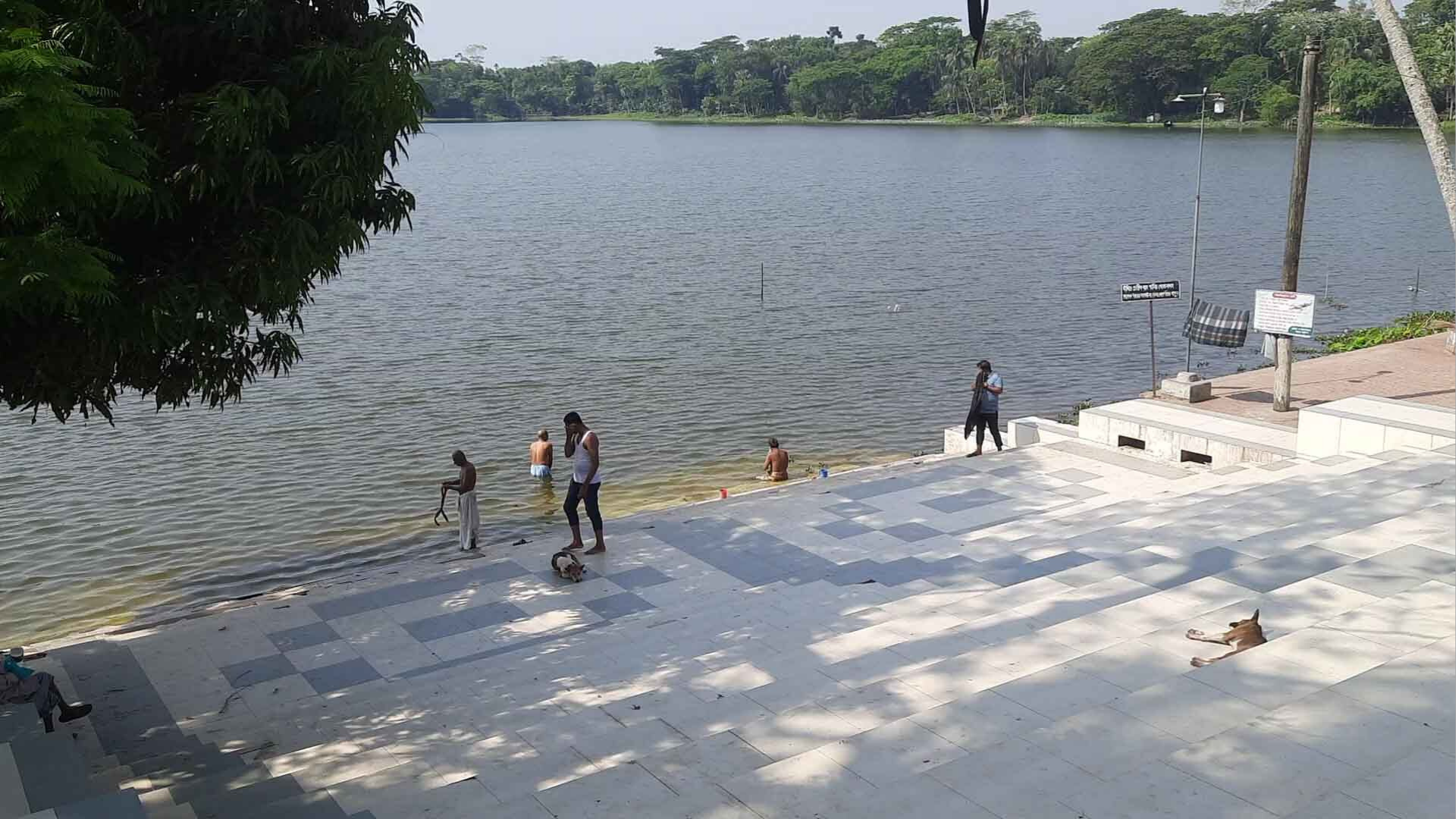 কুমিরের মুখে কুকুর, তদন্তে যা বেরিয়ে এলো