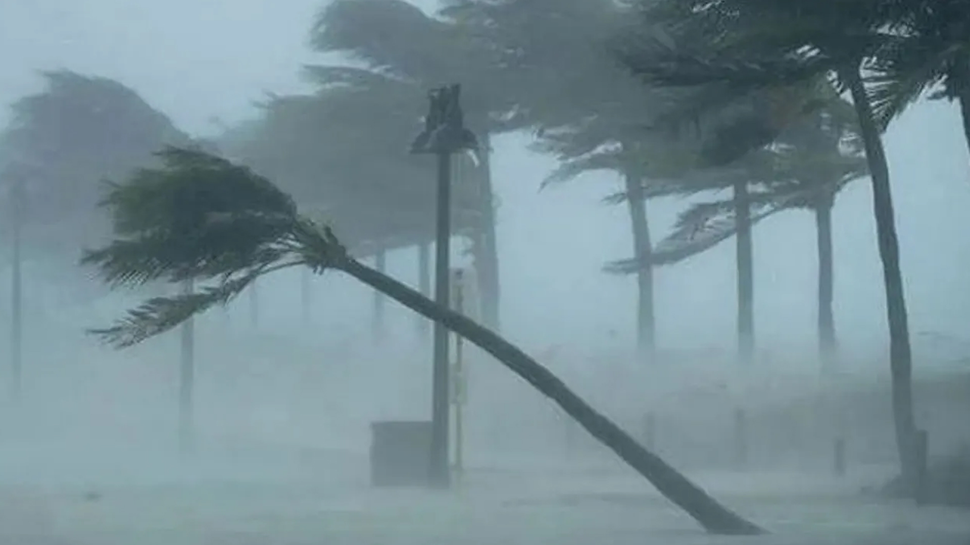 সন্ধ্যার মধ্যে ঢাকাসহ পাঁচ অঞ্চলে ৬০ কিমি বেগে ঝড়ের শঙ্কা