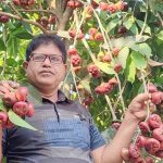 বনসাই আর ফলদ বৃক্ষের রাজ্য