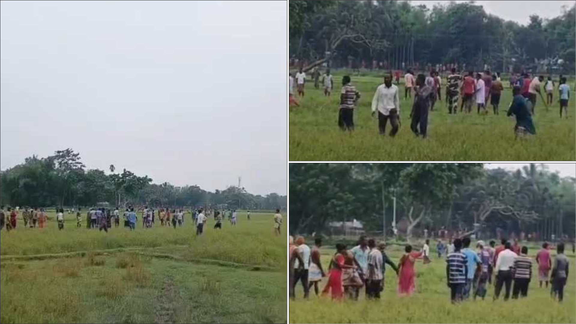 সীমান্তে গরু নিতে এলো বিএসএফ, রুখে দিলো জনতা