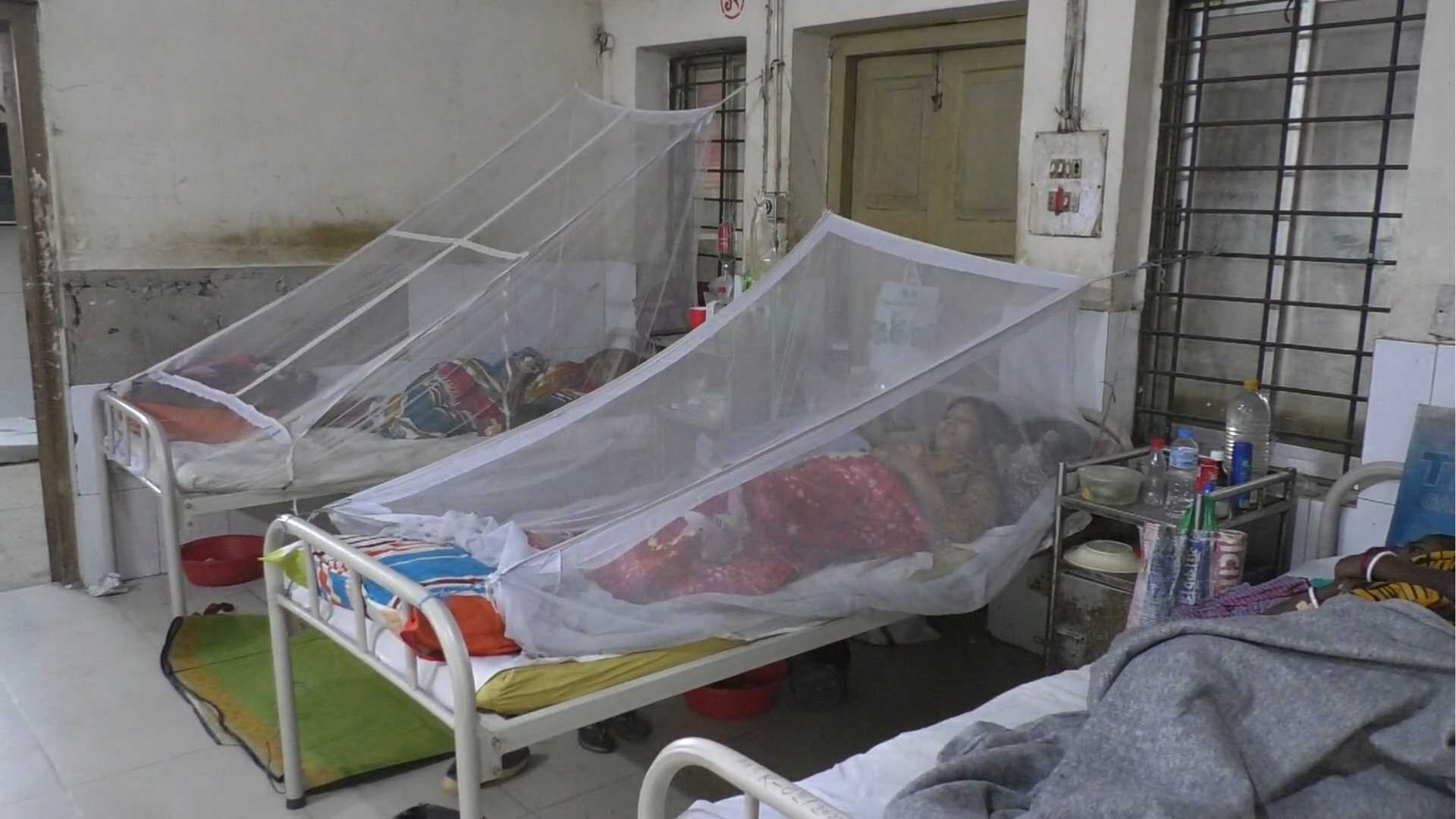 হাম প্রাদুর্ভাবের মধ্যেই নিউমোনিয়া-ডেঙ্গুর প্রকোপ, কী বলছেন বিশেষজ্ঞরা?
