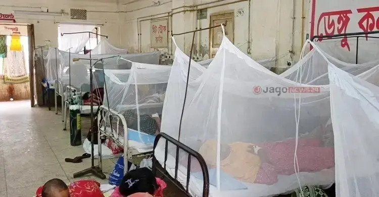 ডেঙ্গুতে একদিনে ৩ মৃত্যু, হাসপাতালে ভর্তি ৯৯৪