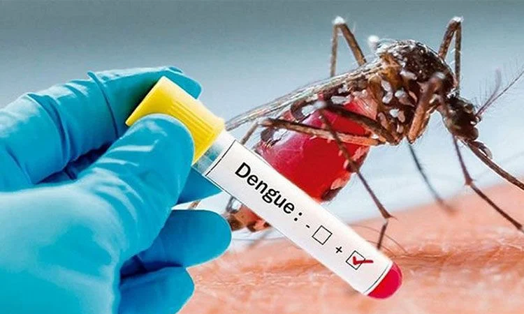 ডেঙ্গুতে আরও ৪ জনের প্রাণহানি