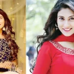 আপত্তিকর ভিডিও প্রকাশের পর যা করলেন মেহজাবীন